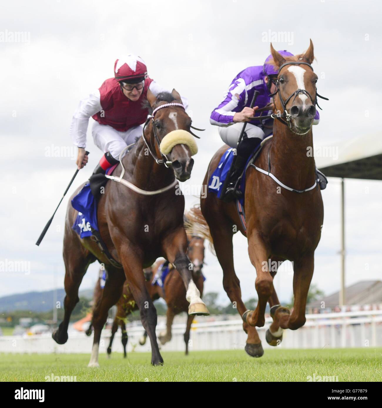 Horse Racing Darley Irish Oaks Day Curragh Racecourse Stock Photo Alamy