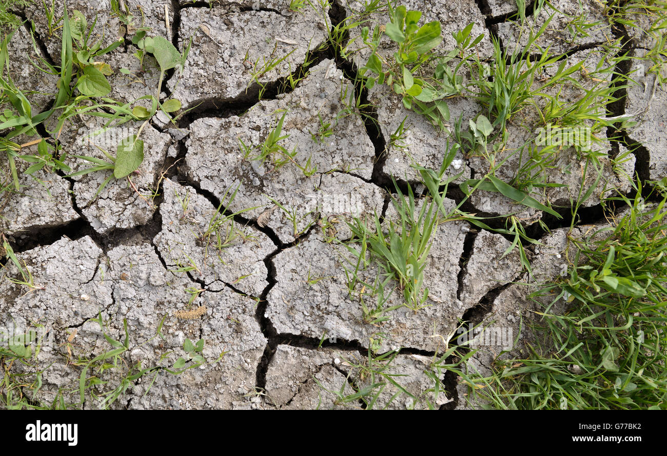 Soil soil erosion hi-res stock photography and images - Alamy