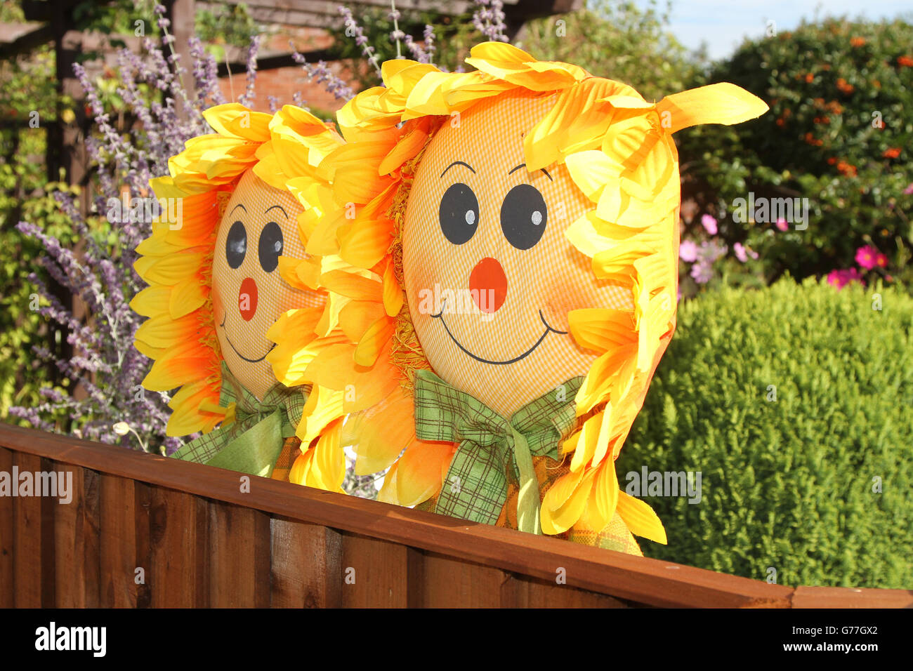 Large happy sunflower face scarecrows on show at the 16th annual Belbroughton Scarecrow Festival. 2013 theme was Best of British Stock Photo