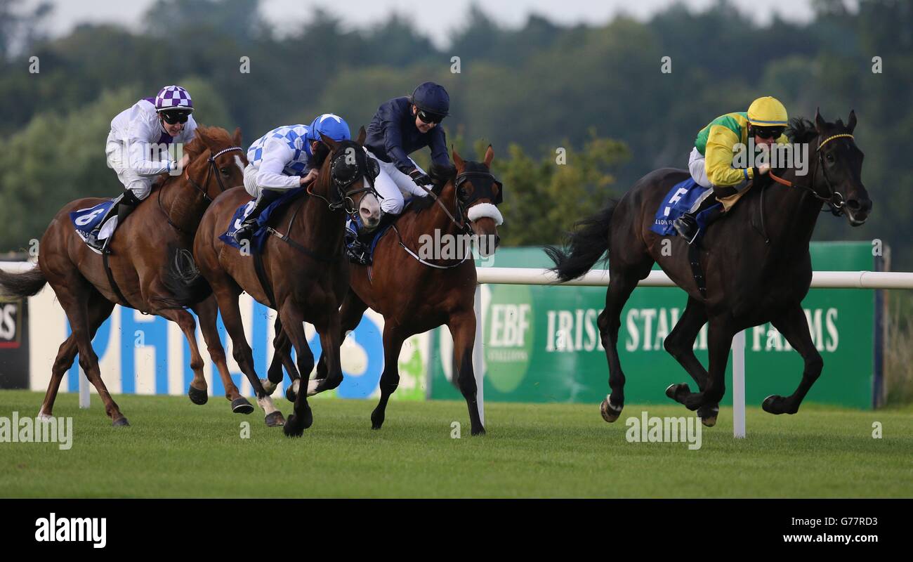 Horse Racing - Leopardstown Stock Photo - Alamy
