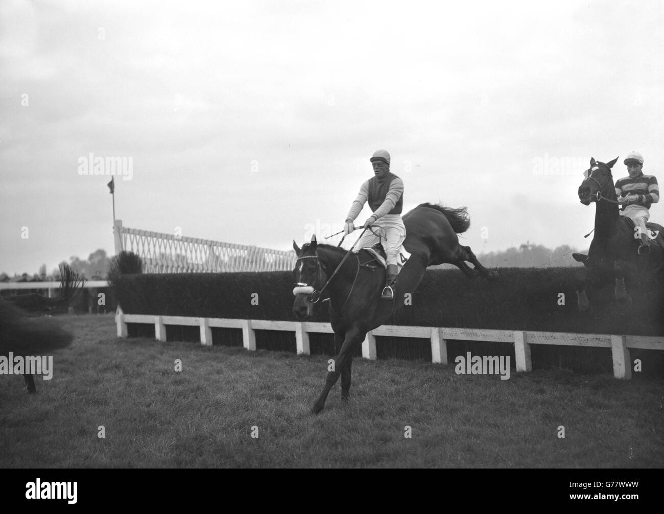 Horse Racing Grand Sefton Steeplechase Hurst Park Stock Photo Alamy
