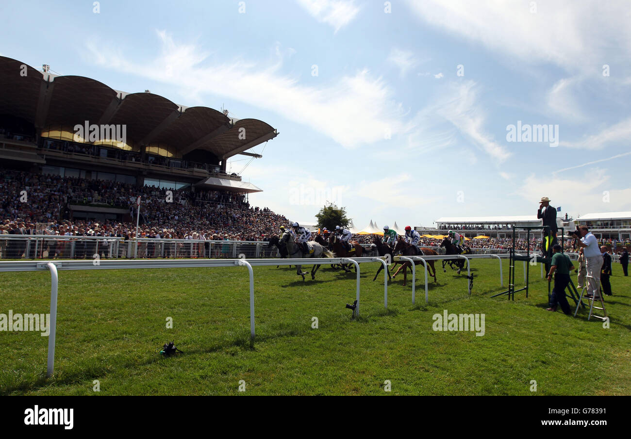 Horses start in front of the grandstand in the Goodwood stakes during day two of Glorious Goodwood at Goodwood Racecourse, West Sussex. Stock Photo
