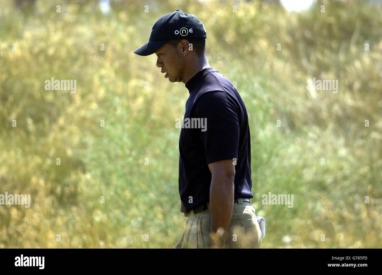 Tiger Woods The Open Stock Photo Alamy