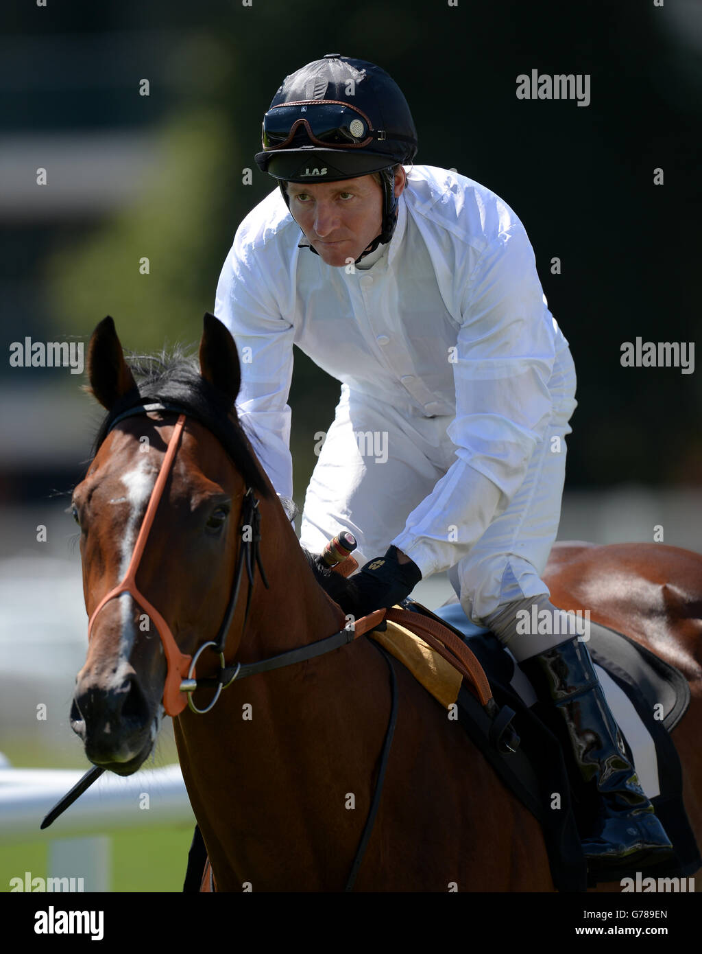 Mickey haller hires stock photography and images Alamy