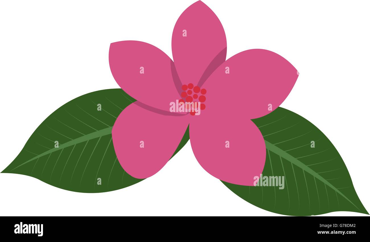 tropical flower icon Stock Vector Image & Art - Alamy