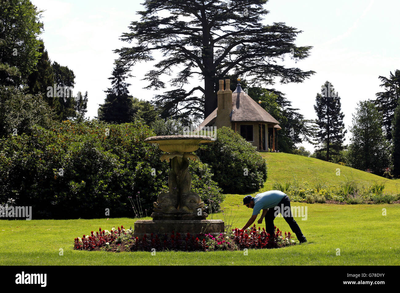 Gardener Steven Morris tends to a boarder in The Swiss Garden at Shuttleworth in Bedfordshire ahead of the re opening of the gardens following a 2.7 million pound restoration project. PRESSS ASSOCIATION Photo. Picture date Tuesday July 29 2014. The Swiss Gardens were created in the early 1800s by Lord Robert Henley Ongley, previously hidden behind the hangers of The Shuttleworth Collection aviation museum. One of Britain's most historical gardens with 13 listed building and structures including 6 listed at Grade II. Photo credit should read Chris Radburn/PA Wire Stock Photo