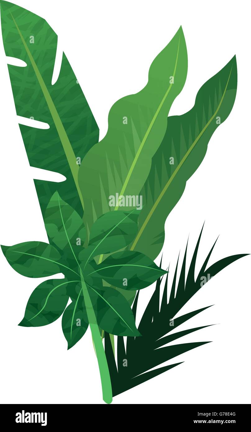 tropical leaves icon Stock Vector Image & Art - Alamy