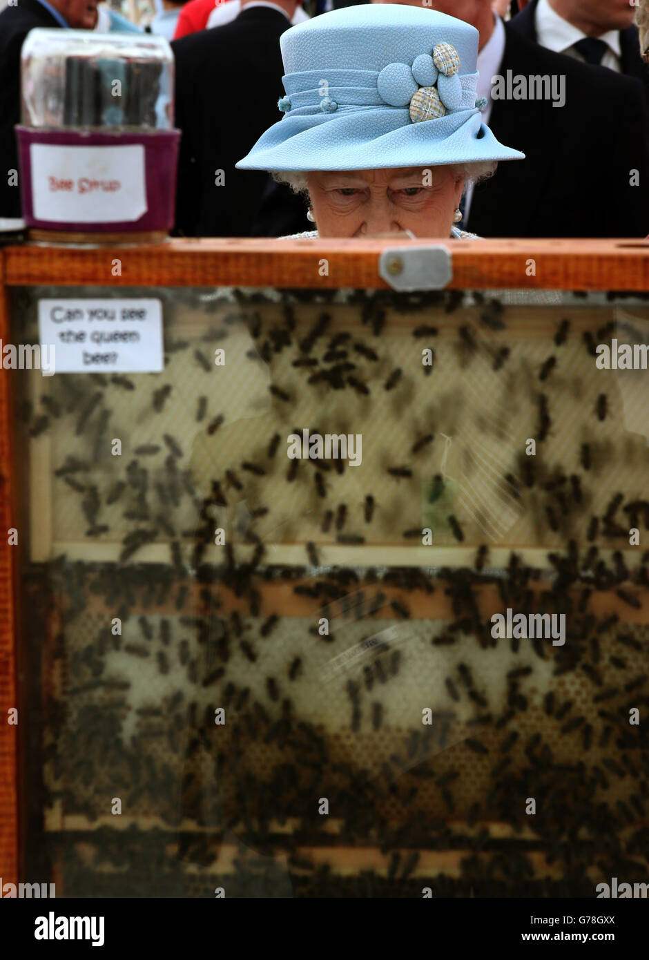 Queen Elizabeth II is shown bees by Aberdeen Bee Keepers Association's David Findlater as she visited the 150th Anniversary Turriff Show in Turriff, Aberdeenshire. Stock Photo