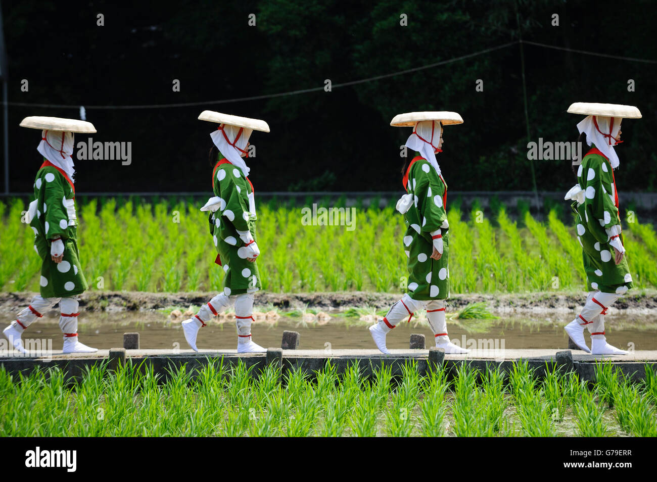 Rice planters hires stock photography and images Alamy