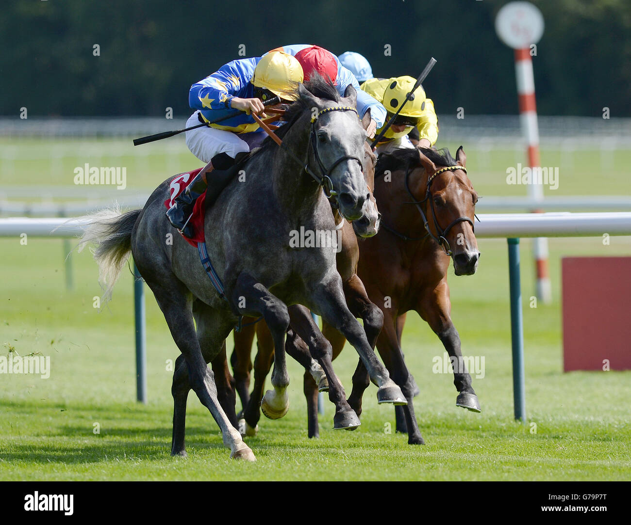 Energia Davos and Ryan Tate (left) win the Betfred Goals Galore Handicap at Haydock Park Racecourse, Merseyside. Stock Photo