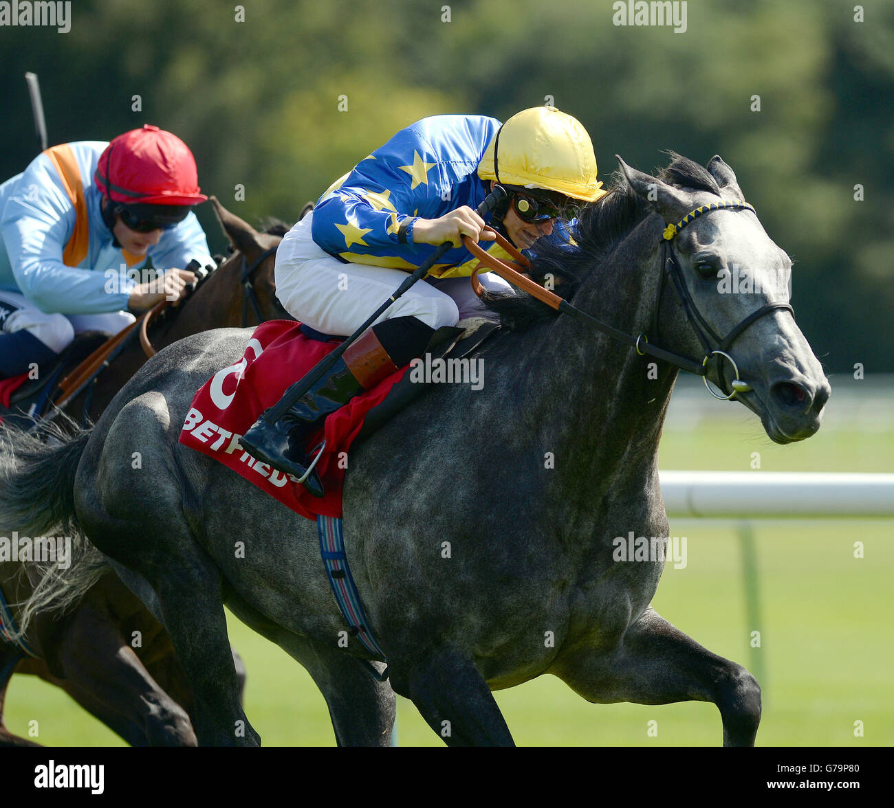 Horse Racing Haydock Park Racecourse. Energia Davos and Ryan Tate win