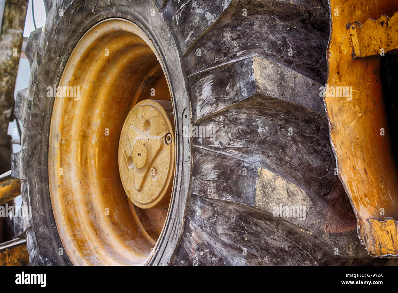 Photograph of an end loader construction machine tire Stock Photo Alamy
