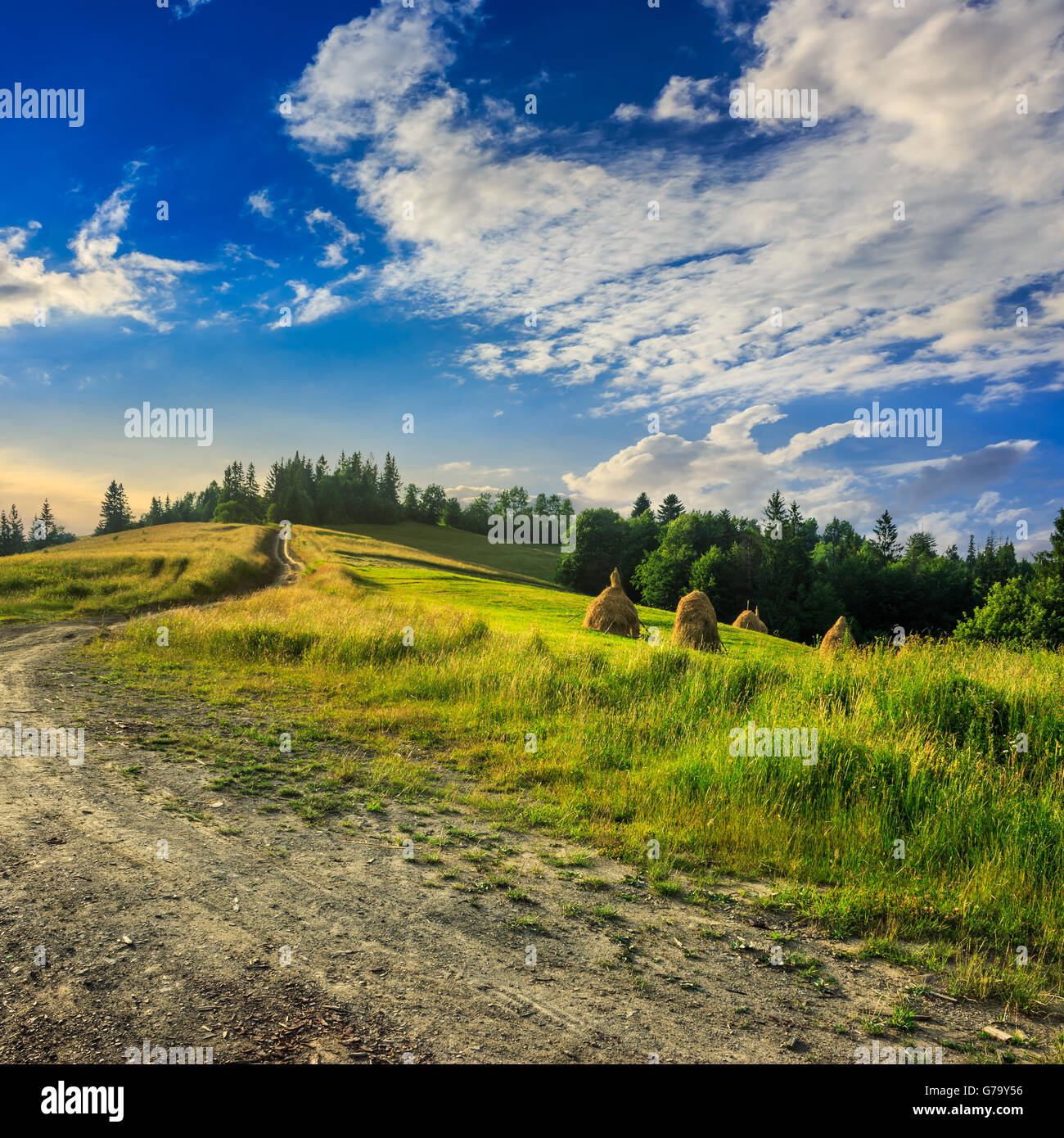 Stack of hay on a green meadow in the mountains Stock Photo - Alamy