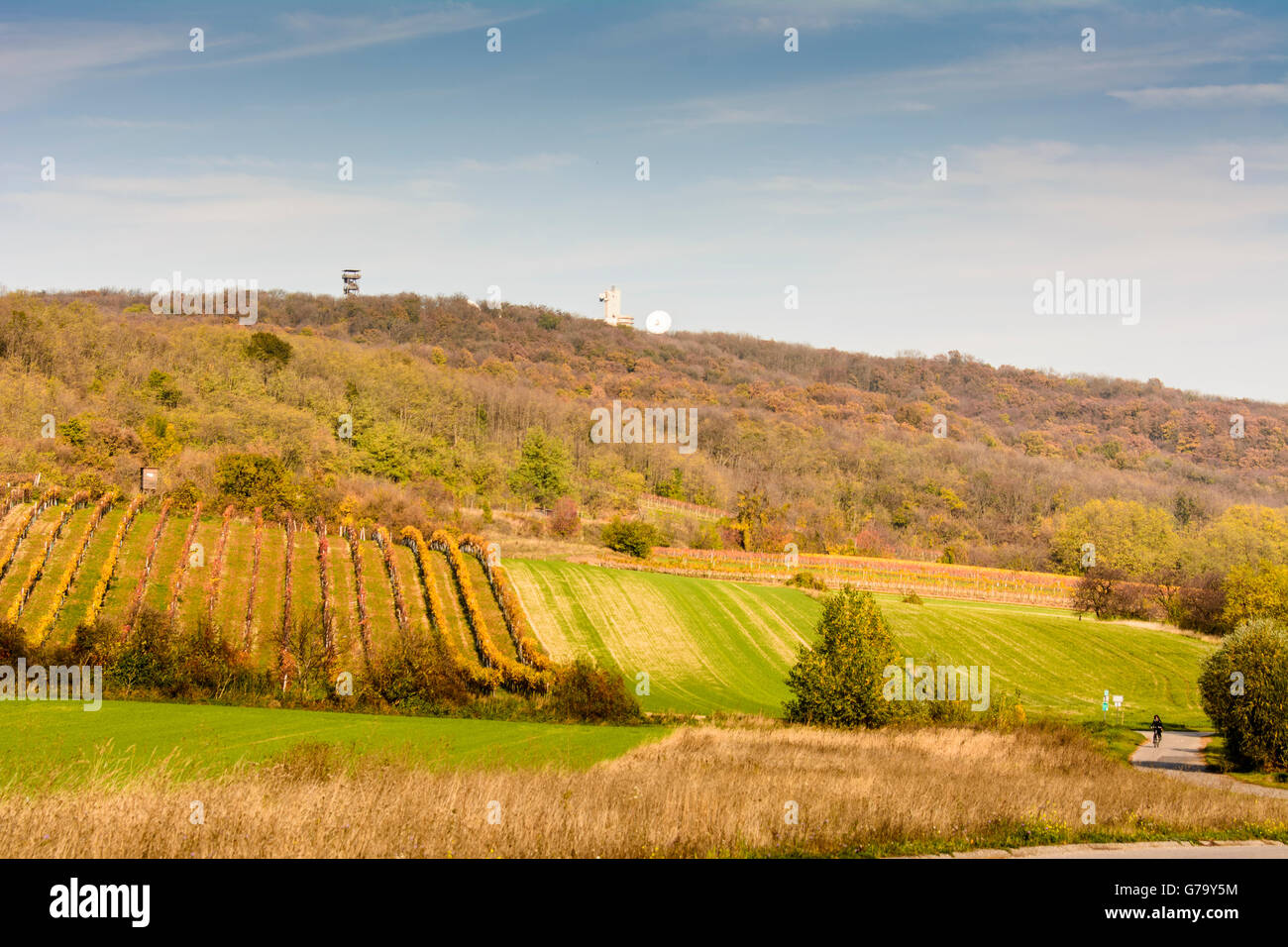 Lookout Königswarte and radio listening station of the Military Intelligence Agency ( army ) and vineyards, Berg, Austria, Niede Stock Photo