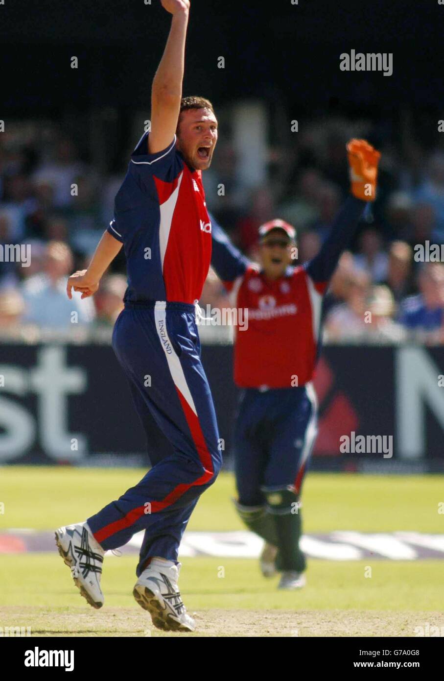 England's Stephen Harmison celebrates taking the third wicket of his hat-trick against India during the Natwest Challenge one day international at Trent Bridge, Nottingham. Stock Photo