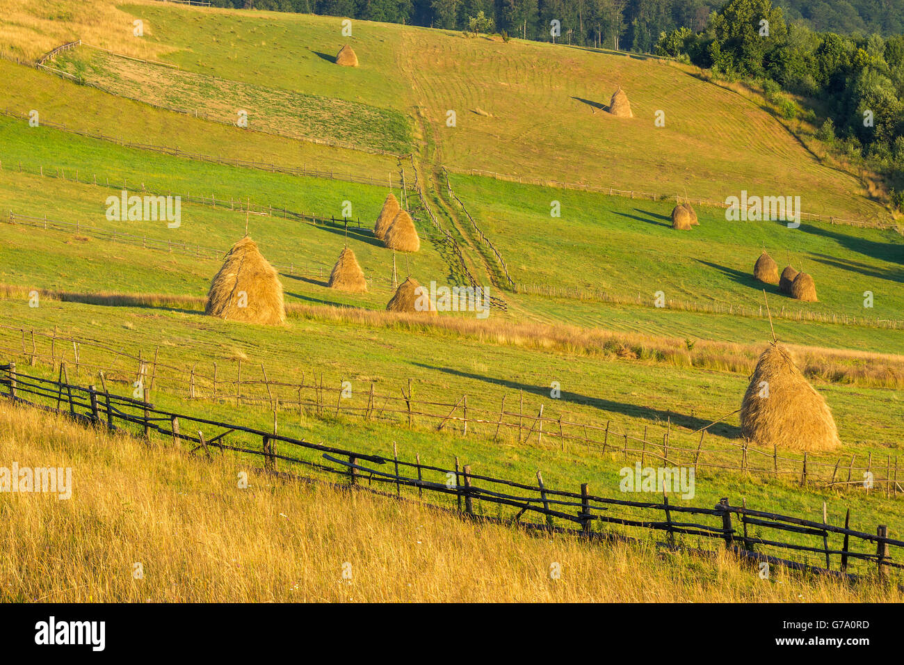 summer landscape. fence near the meadow on the hillside. haystack in ...