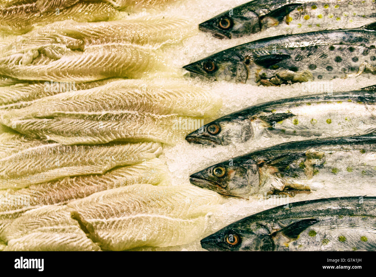 Photograph of some dead fishes on ice at a market Stock Photo