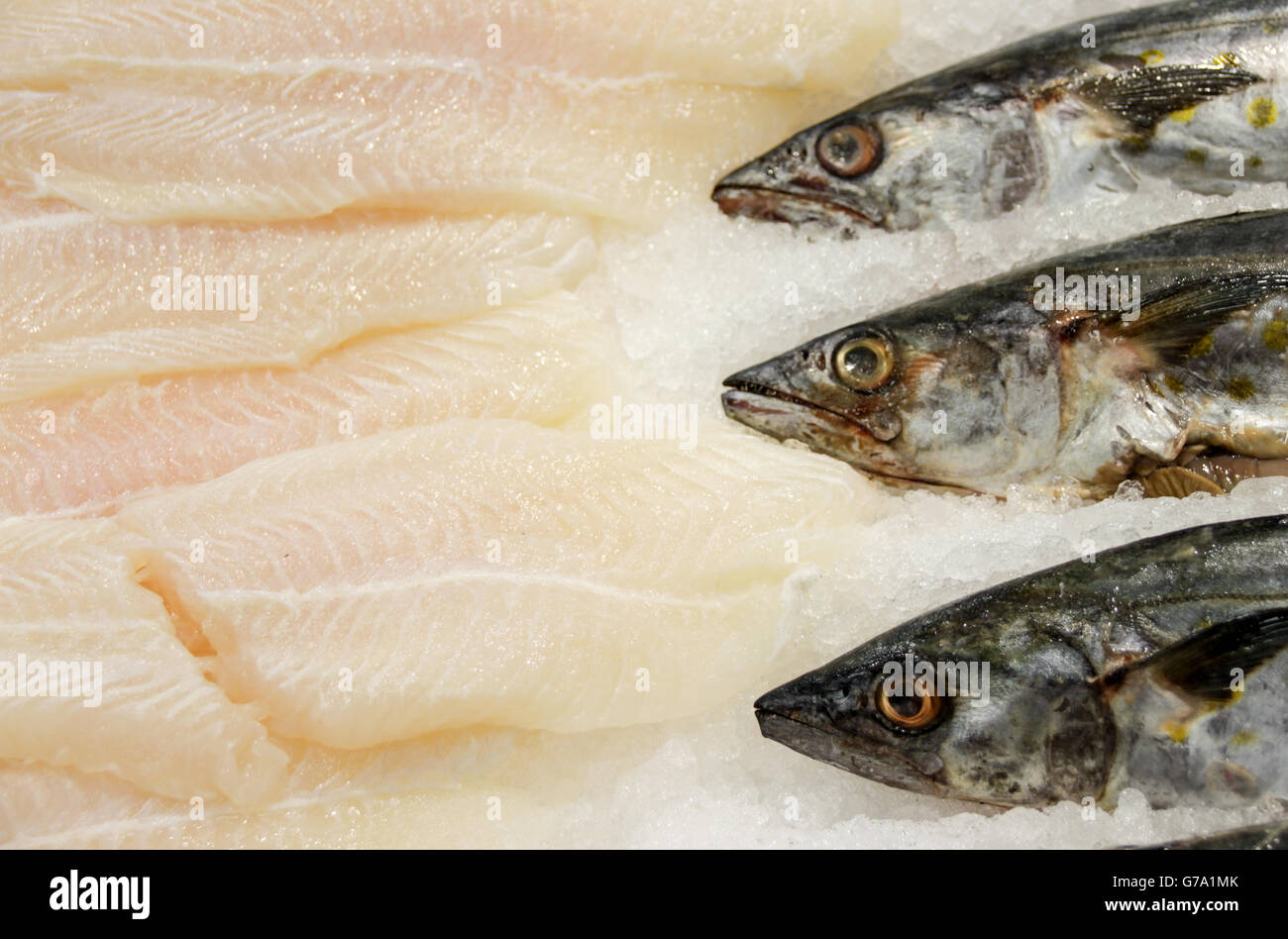 Photograph of some dead fishes on ice at a market Stock Photo