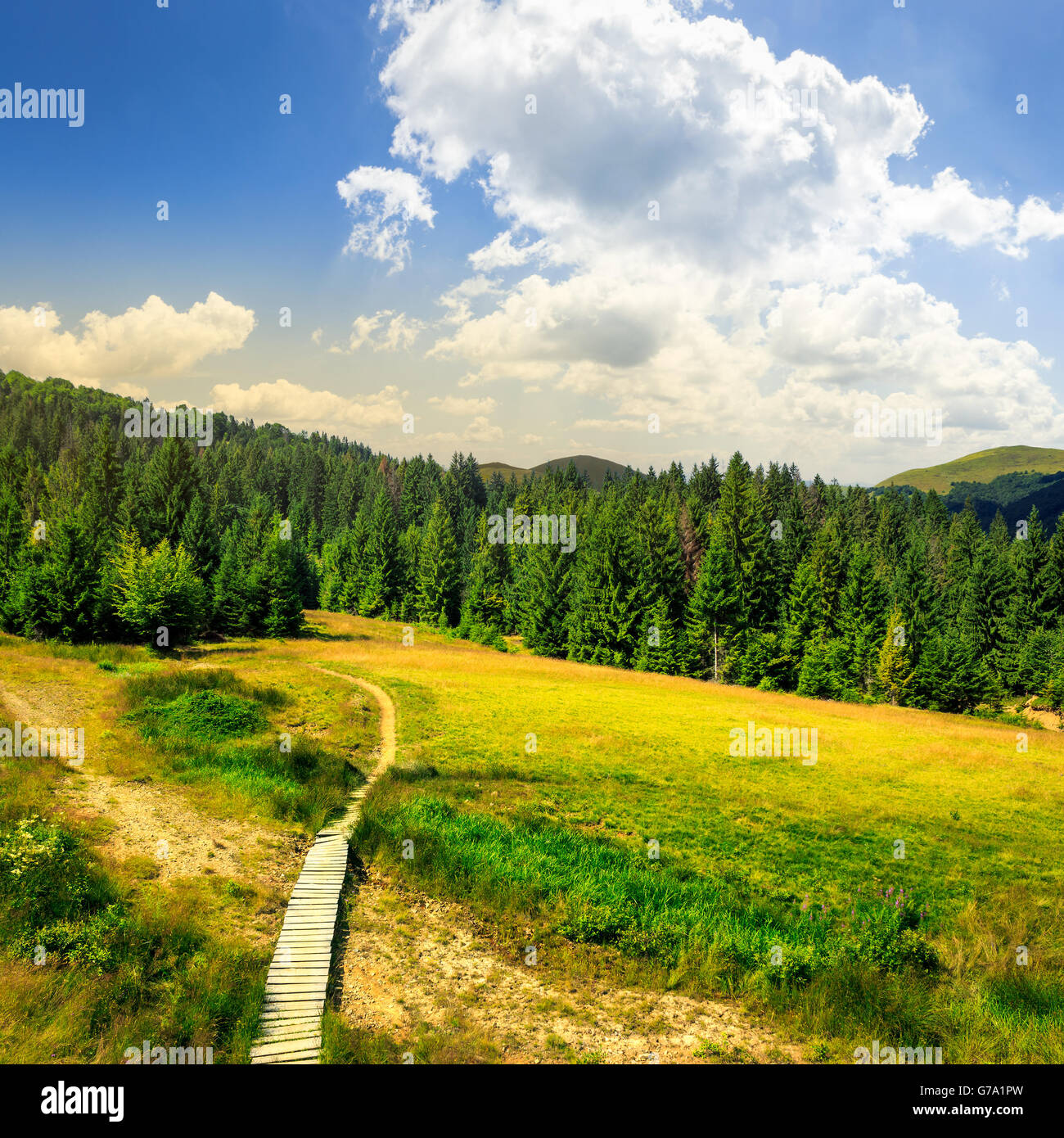 path with a wooden bridge near the lawn in the shade of pine trees of green forest in mountain Stock Photo
