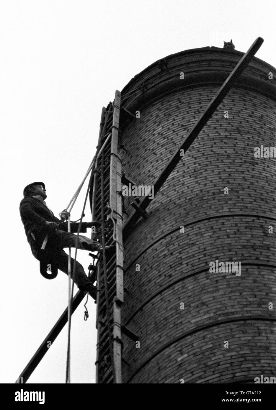 Lancashire steeplejack and TV personality Fred Dibnah climbs a 140 feet high mill chimney in Bolton to rescue the ginger tom cat, perched on high, which has held up the chimney's demolition. Stock Photo