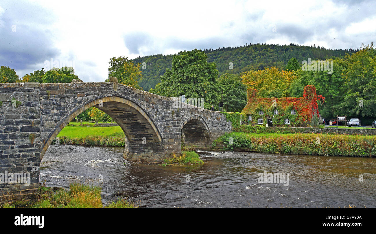 A general view of Tu Hwnt ir Bont in Llanrwst, the cafe's roof is covered in Virginia creeper which has started to change from green to red, as the autumnal colours start to show. Stock Photo