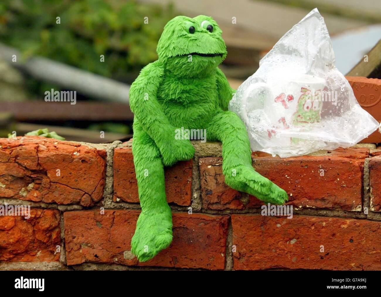 A Frog sits on the wall in Bentinck Street where ex miner keith Frogson was killed. The funeral for Ex Miner Keith Frogson took place at St Johns Church, Annesley Woodhouse, Nottinghamshire. Stock Photo