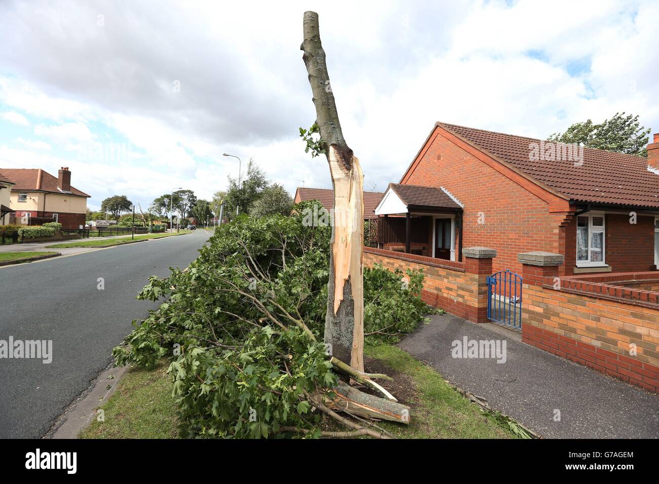 The scene in Hopewell Road, Hull, after the weather brought down trees on houses and cars, as