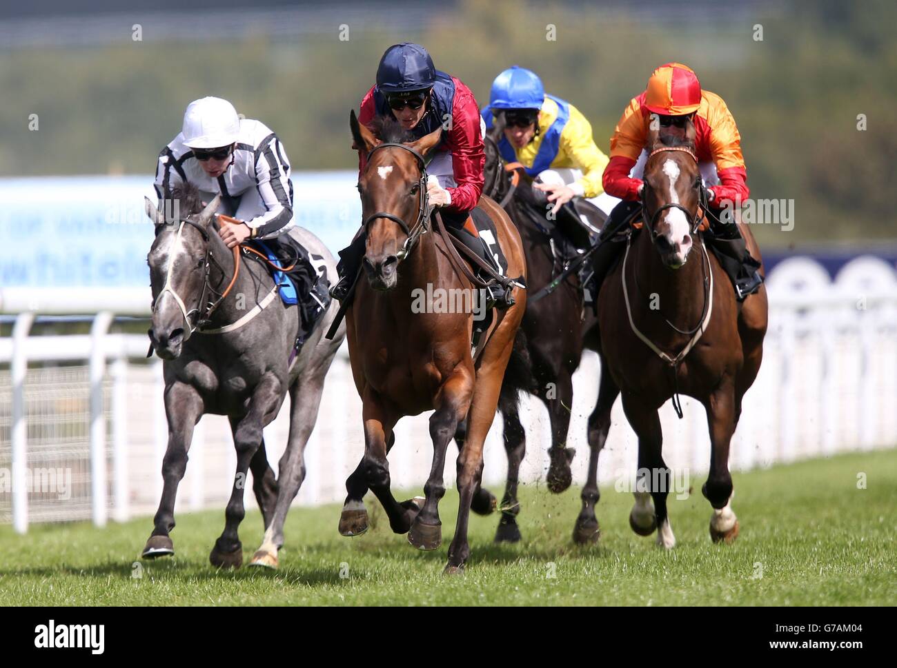 Horse Racing Goodwood Racecourse Stock Photo Alamy