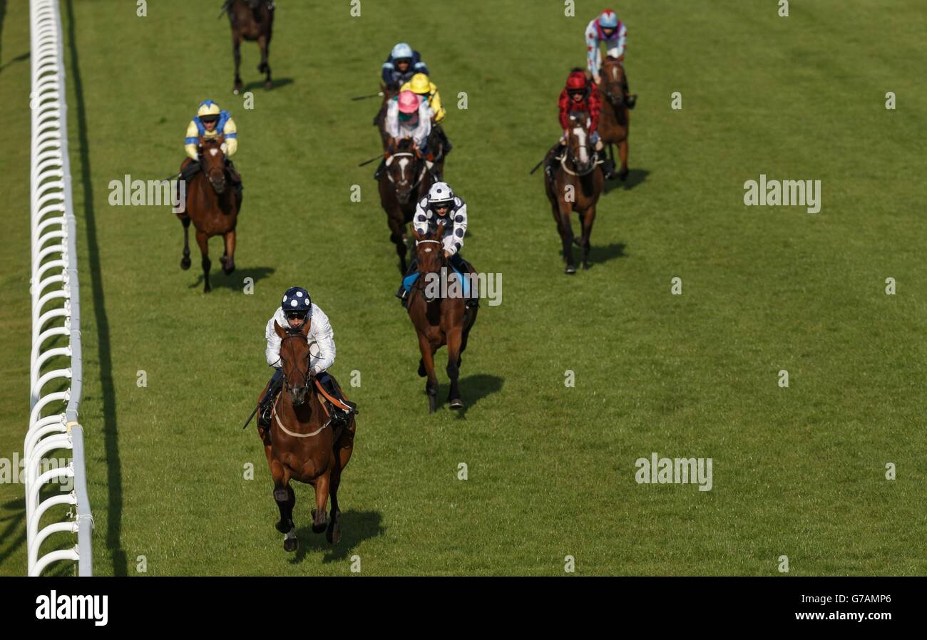 Tall ship, (bottom left) ridden by Shane Kelly comes home to win The Chichester Observer Handicap at Goodwood Racecourse, Chichester. Stock Photo