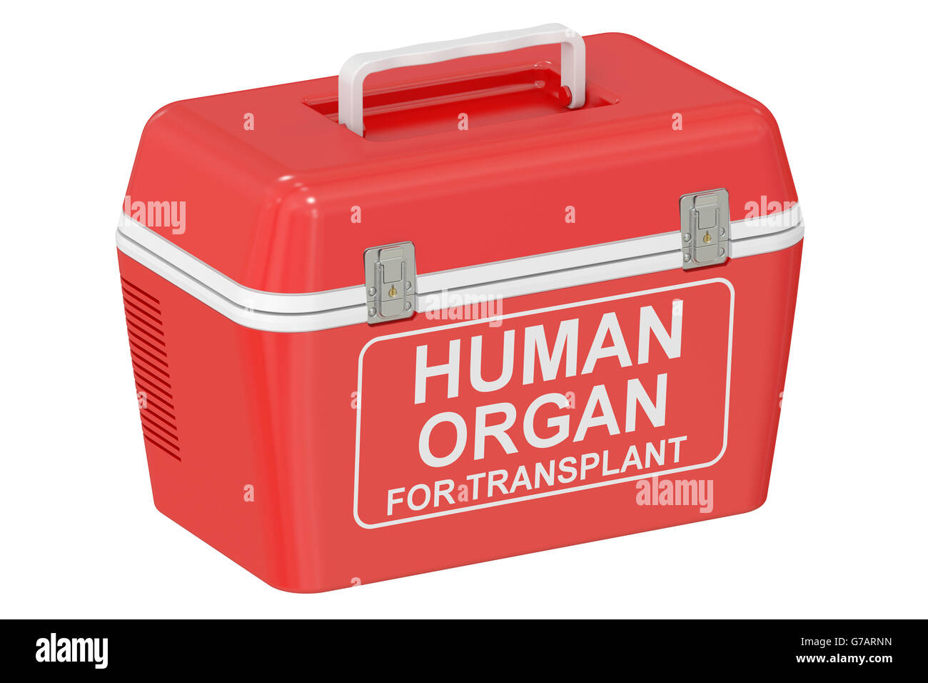 Portable fridge for transporting donor organs, 3D rendering isolated on white background Stock Photo