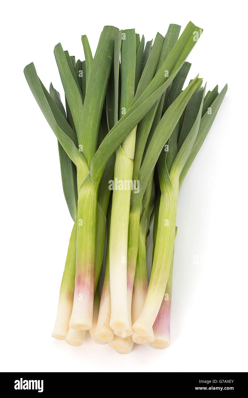 Young green garlic isolated on white background Stock Photo