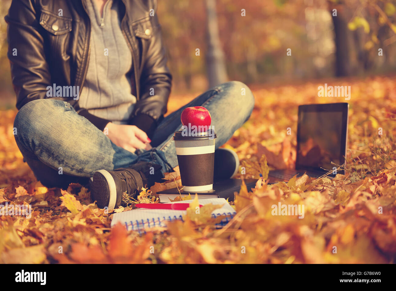 girl sitting on the leaves in the park. Vintage autumn photo Stock ...