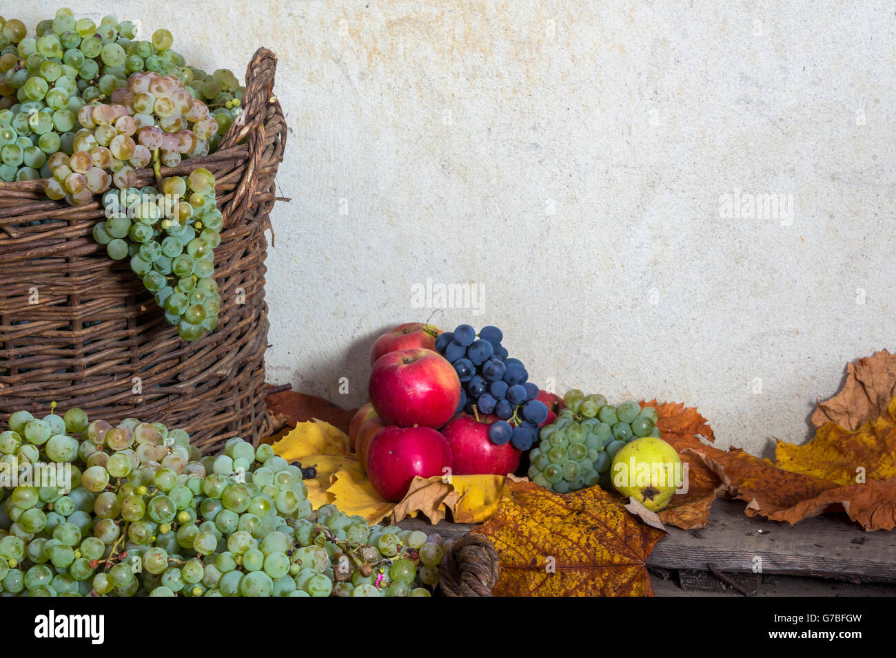 autumnal fruit still life with apples, quince, grapes and leaves on old wall background Stock Photo
