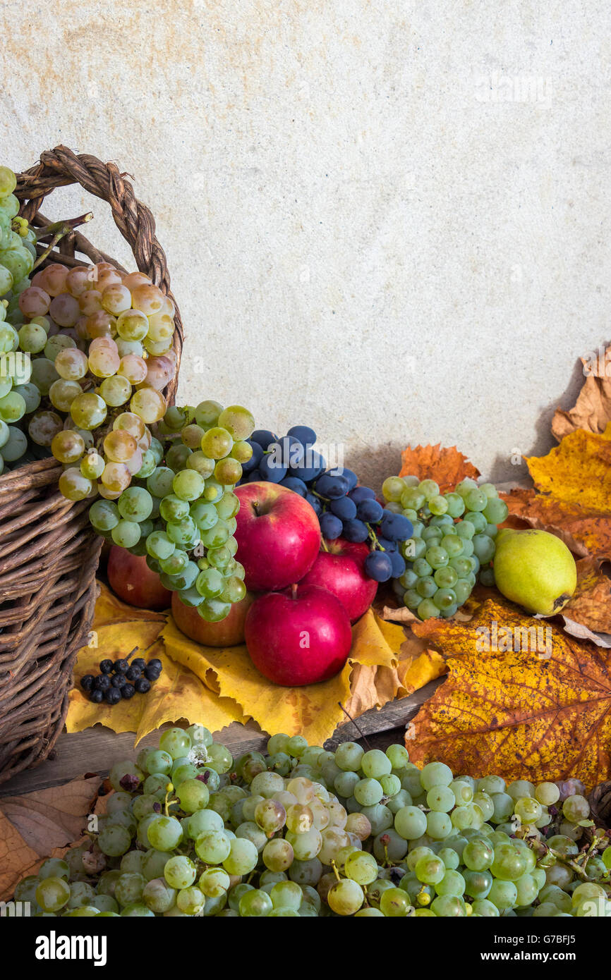 autumnal fruit still life with apples, quince, grapes and leaves on old wall background Stock Photo