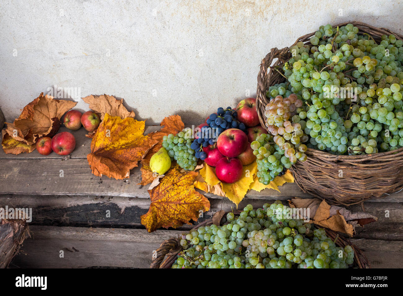 autumnal fruit still life with apples, quince, grapes and leaves on old wall background Stock Photo