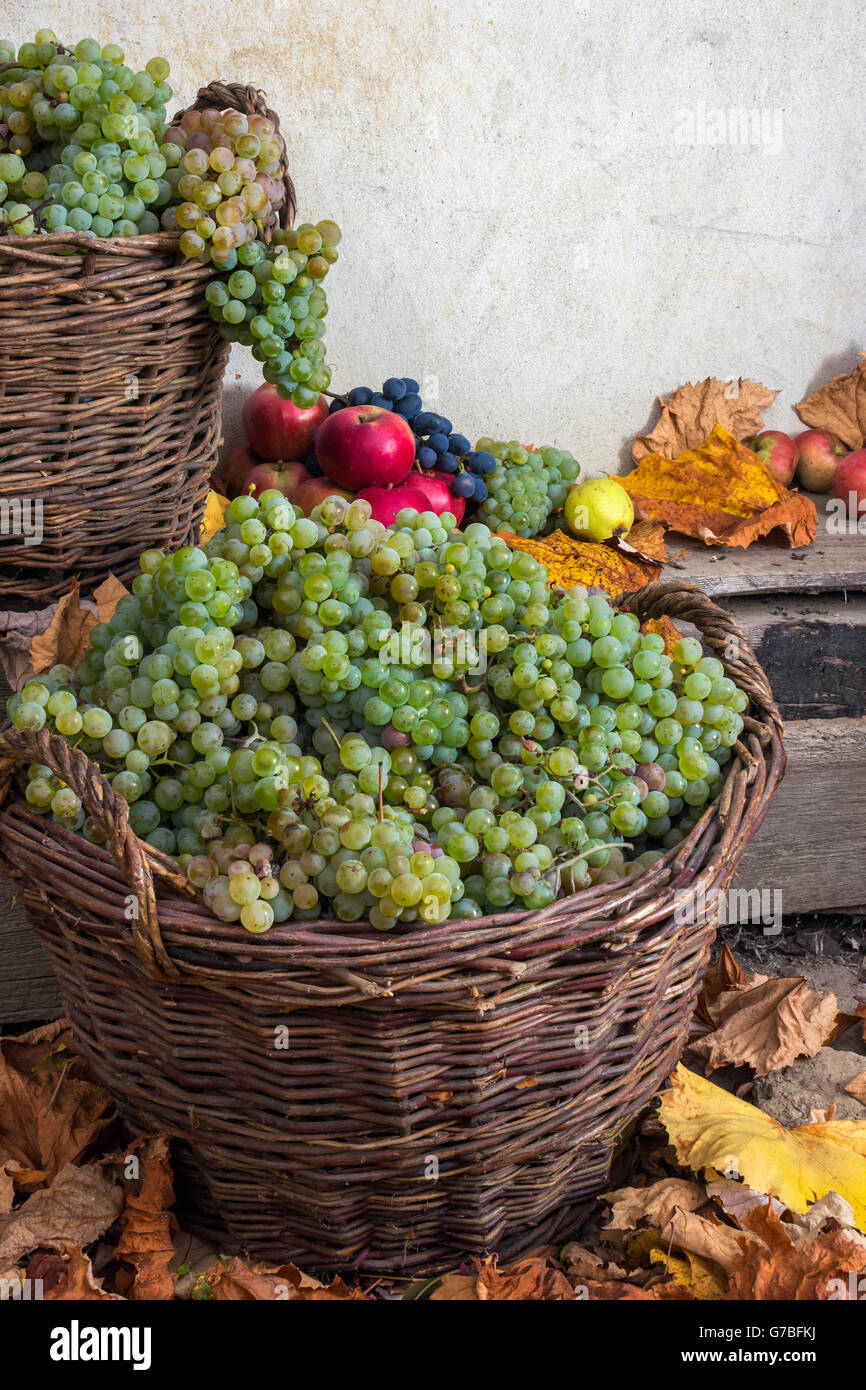 autumnal fruit still life with apples, quince, grapes and leaves on old wall background Stock Photo