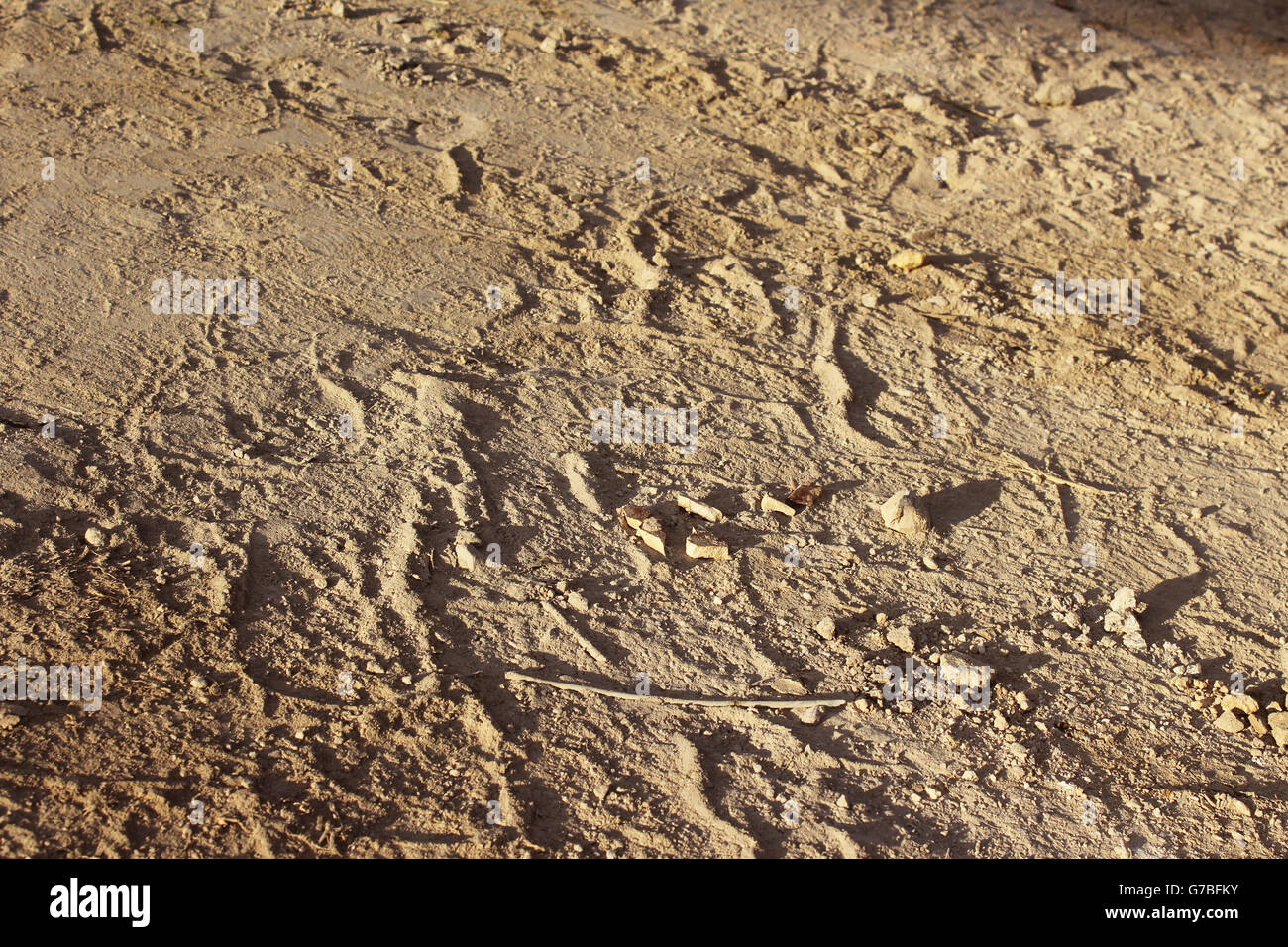 Photograph of an earth floor with prints on it Stock Photo - Alamy