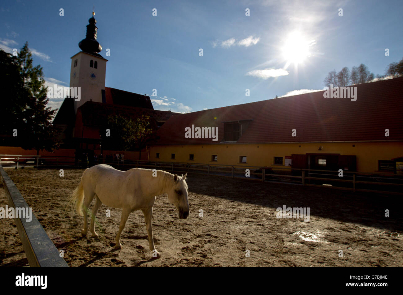 the-spanish-riding-school-stock-photo-alamy