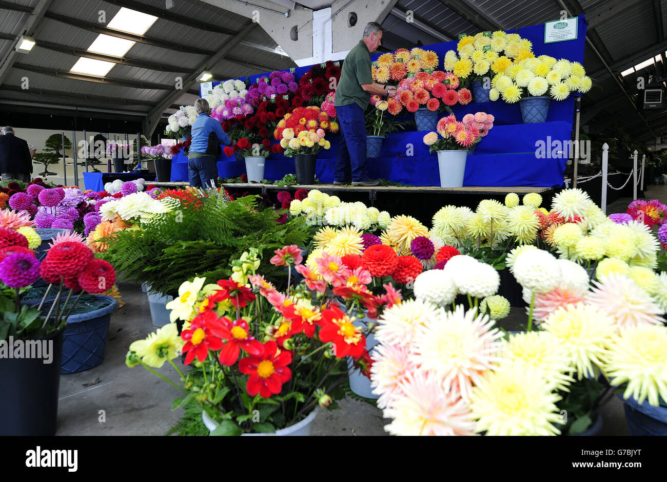 Harrogate flower show display hires stock photography and images Alamy