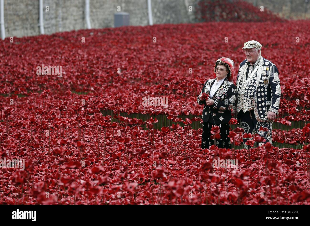 Doreen Golding, Pearly Queen of Bow Bells, and Roy York, Pearly King of Smithfield looking at poppies which form part of the art installation 'Blood Swept Lands and Seas of Red' by artist Paul Cummins at the Tower of London, marking the centenary of World War I. Stock Photo