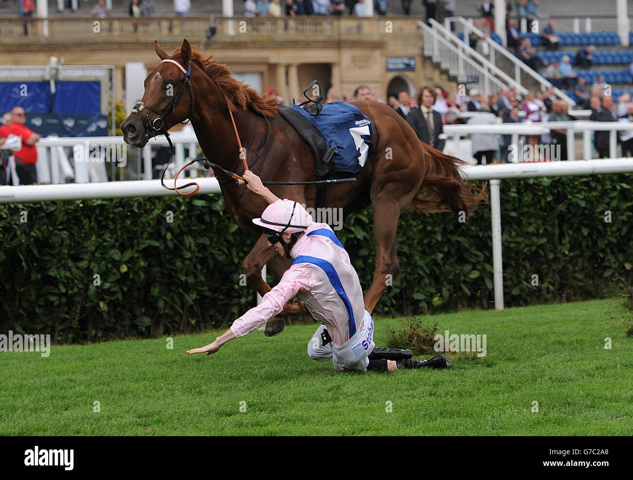 Horse Racing -2014 Ladbrokes St Leger Festival - Doncaster Cup Day - Doncaster Racecourse Stock Photo