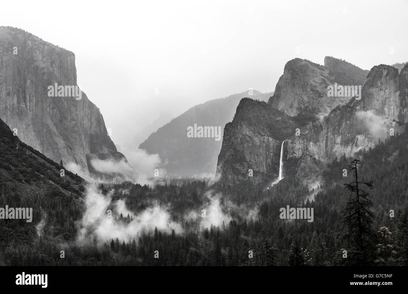 Yosemite Valley in Black and White Stock Photo Alamy