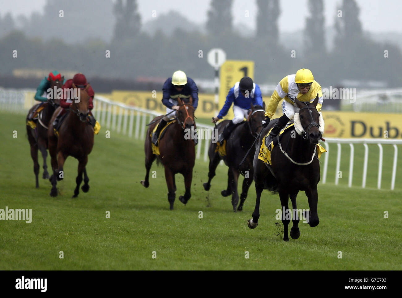 Horse Racing - Dubai Duty Free International Weekend - Newbury ...