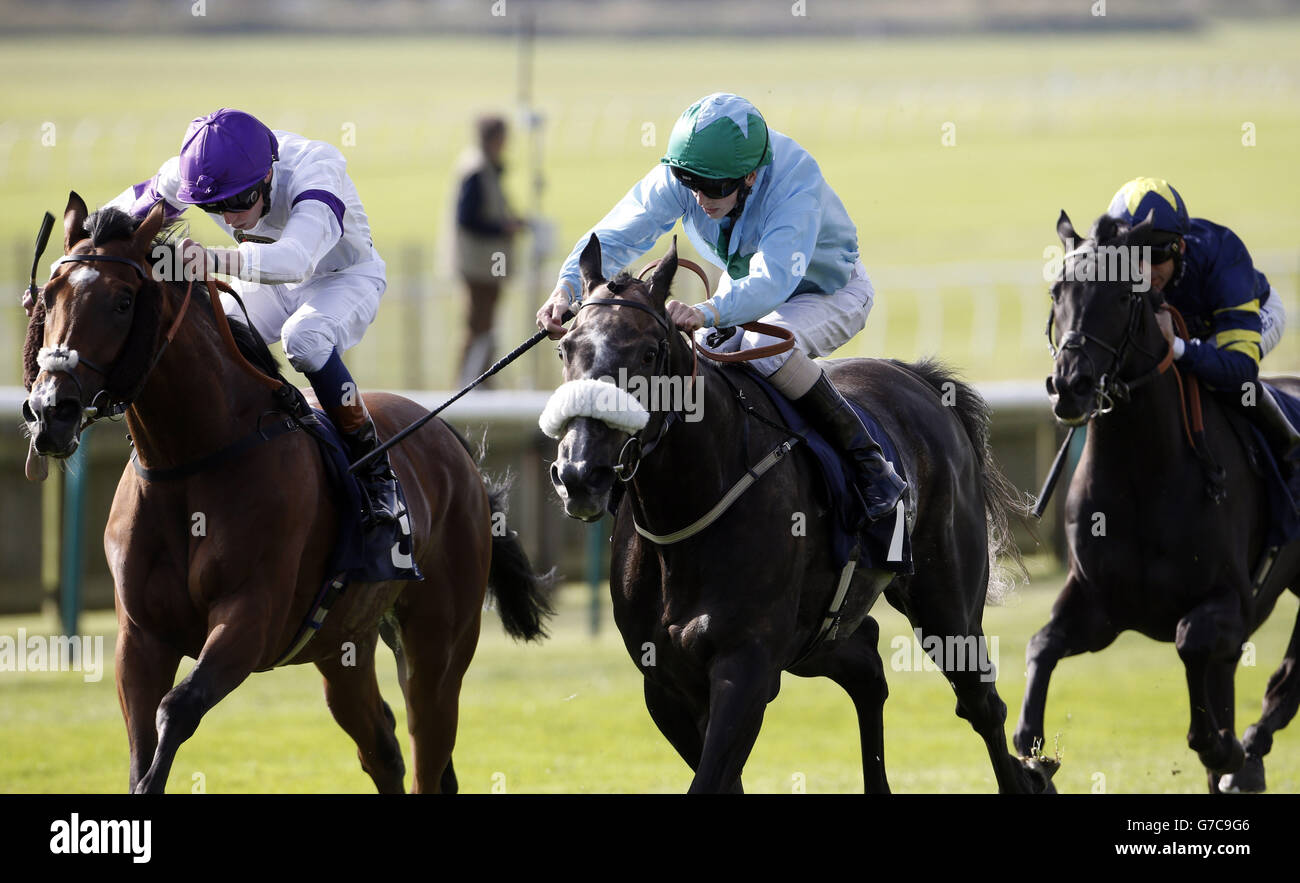 Der Meister (centre in light blue and green colours) ridden by David Probert beats Knife Point (left) ridden by James Doyle to win the TurfTrax.co.uk Sectional Timing At Newmarket Handicap Stakes during day one of the The Cambridgeshire Meeting at Newmarket Racecourse. Stock Photo