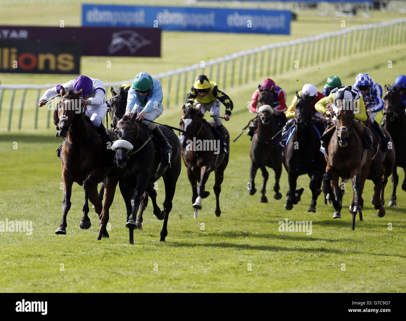 Der Meister (centre in light blue and green colours) ridden by David Probert beats Knife Point (left) ridden by James Doyle to win the TurfTrax.co.uk Sectional Timing At Newmarket Handicap Stakes during day one of the The Cambridgeshire Meeting at Newmarket Racecourse. Stock Photo