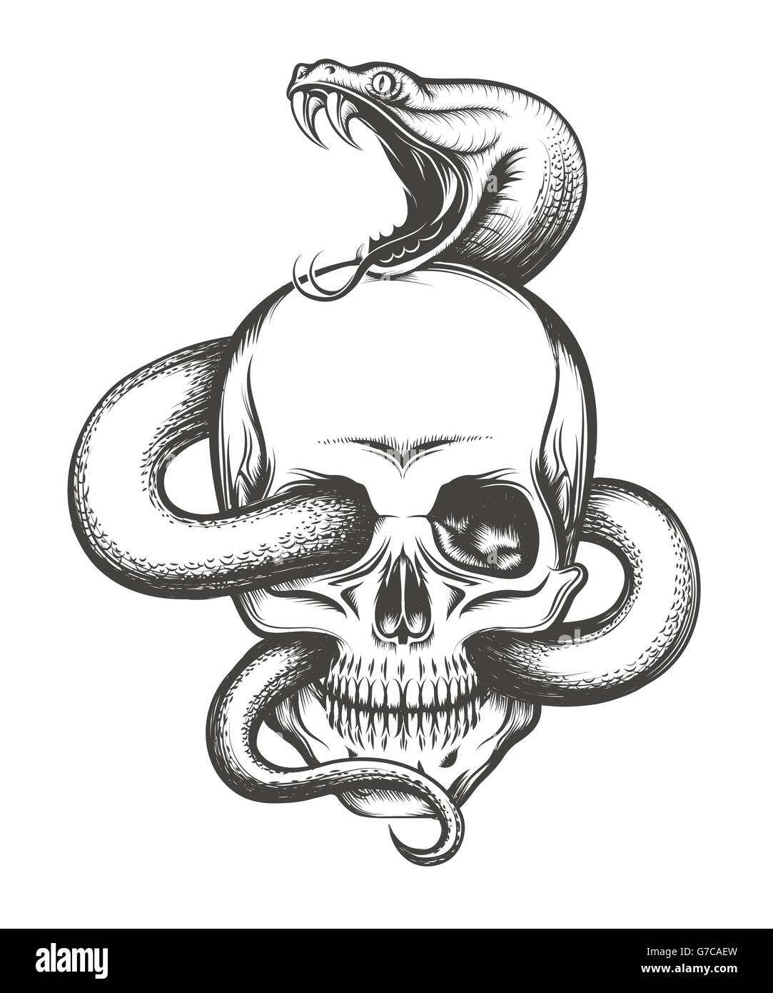 Human skull with crawling snake. Illustration in engraving style. Stock Vector