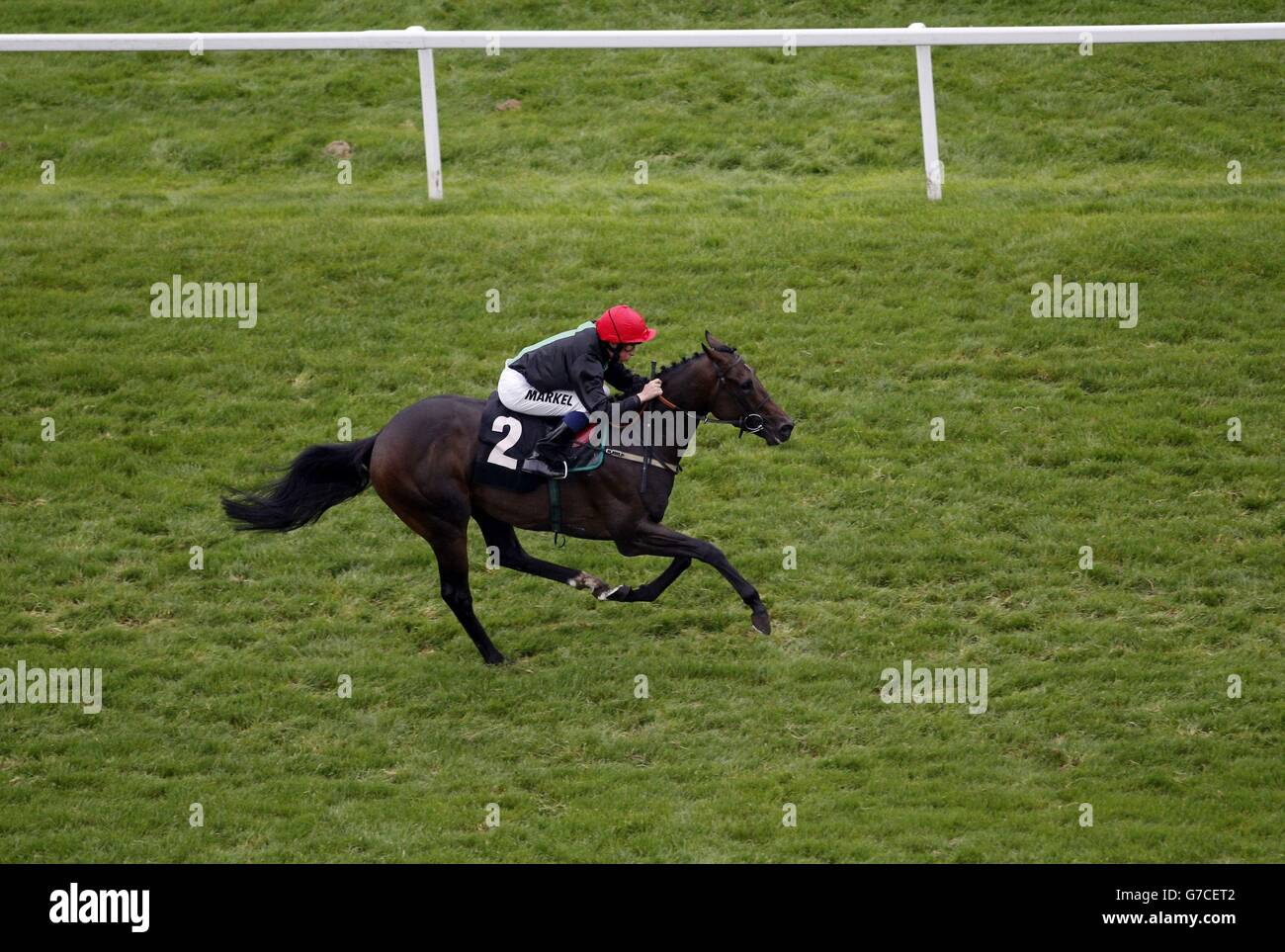 Horse Racing - Dubai Duty Free International Weekend - Newbury ...