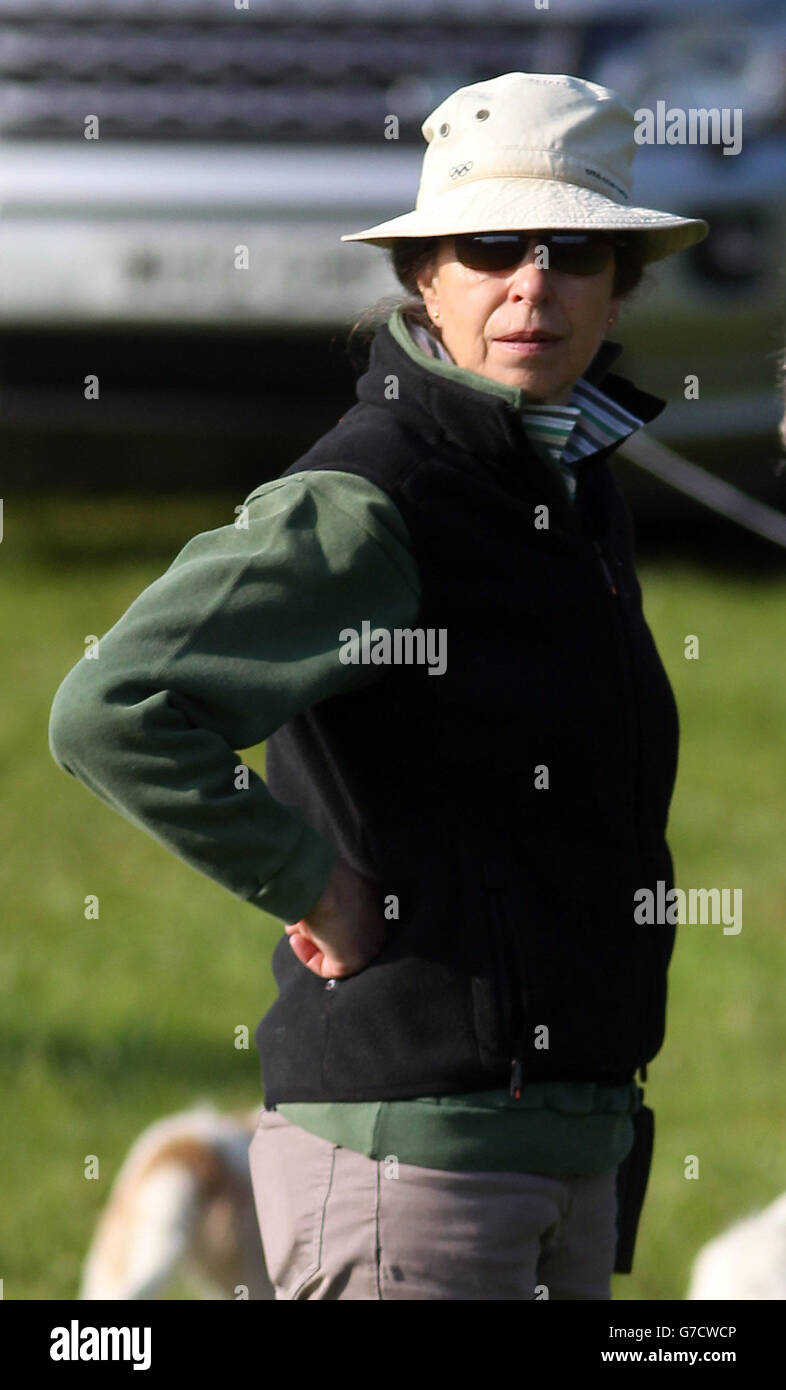 Equestrian - 2014 Gatcombe Horse Trials - Day Three - Gatcombe Park. Princess Anne during day three of the 2014 Gatcombe Horse Trials, Gatcombe Park, Stroud. Stock Photo