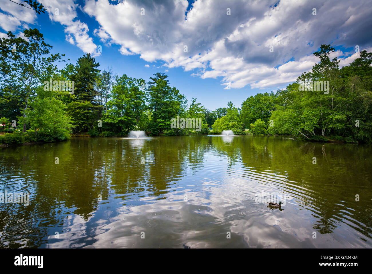 Pond at Elizabeth Park, in Hartford, Connecticut. Stock Photo