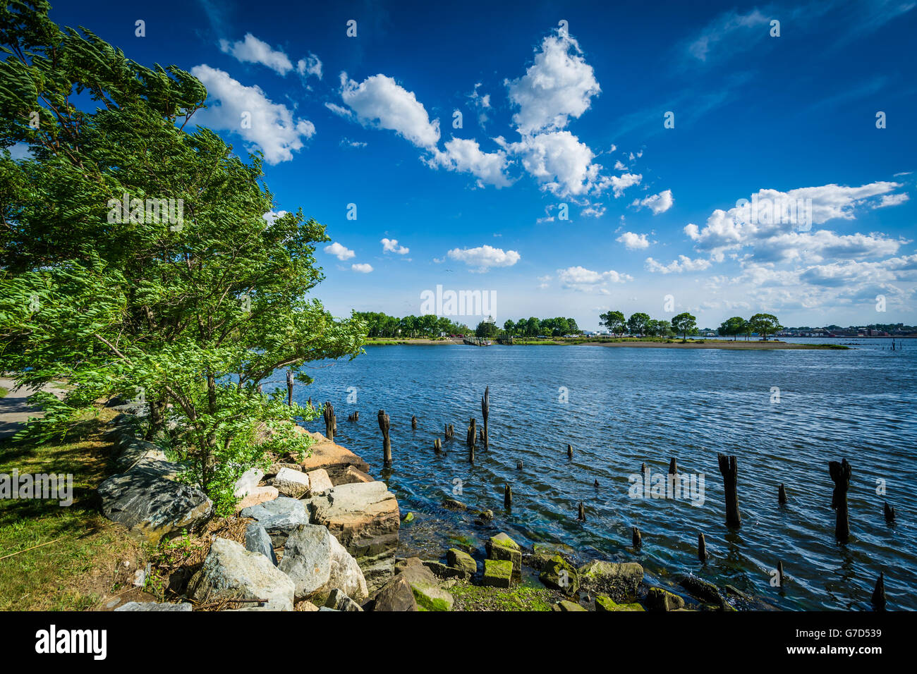 Pier pilings in the Seekonk River, in Providence, Rhode Island. Stock Photo
